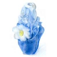 Hawaiian Candle