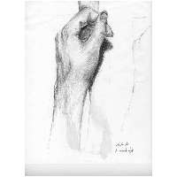 My left hand